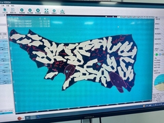 Maschine zum Schneiden von echtem Leder für die Schuh- und Handtaschenfabrik